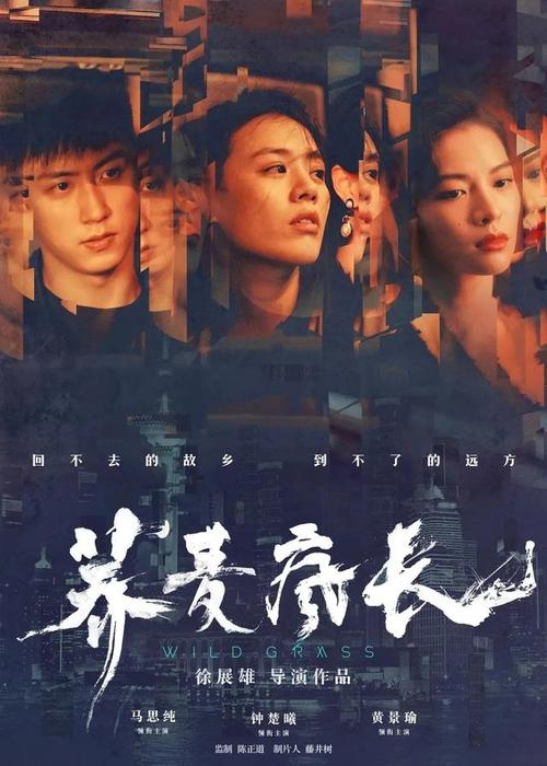 杭州电子科技大学毕业证丢了怎么办